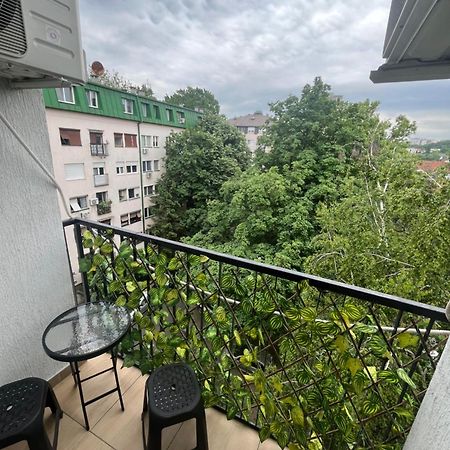 Pavlovic Apartman Belgrade Exterior photo